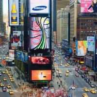 New York 8