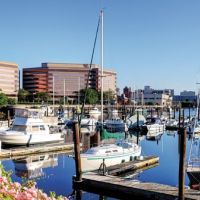 Stamford 015
